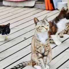 30代の女性です
