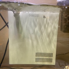 海水魚用外掛けフィルターバクテリア付着済み1個の画像