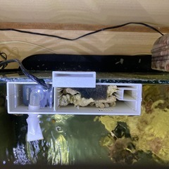 海水魚用外掛けフィルターバクテリア付着済み1個の画像
