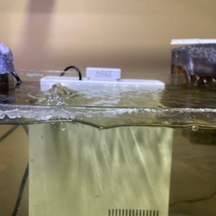 海水魚用外掛けフィルターバクテリア付着済み1個の画像