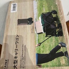 ［受付終了］大型キャリーワゴン　の画像