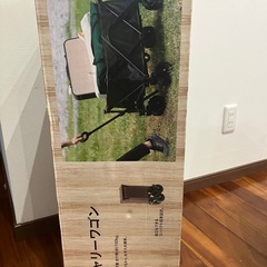 ［受付終了］大型キャリーワゴン　の画像
