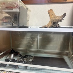 爬虫類ケージセットの画像