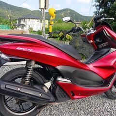 自賠責令9.7PCX125.好調.始動動画.シグナス.トリシティ125.の画像