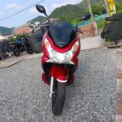自賠責令9.7PCX125.好調.始動動画.シグナス.トリシティ125.の画像