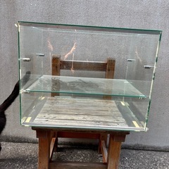 🌺ガラスショーケース🌺の画像