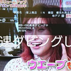 最終価格/最長1400時間保存/大容量2TB/三菱 DVR-BZ130/簡単CMスキップ再生/W録画/純正リモコン付/動作品/REAL/リアル(2-2)の画像