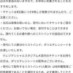 さいたま市花火大会 大和田公園会場の画像