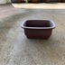 ランキングキーワードに紐づく投稿画像-多肉植物