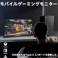 18.5インチ　モバイルモニター　の画像