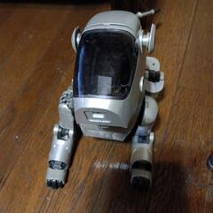 アイボの画像