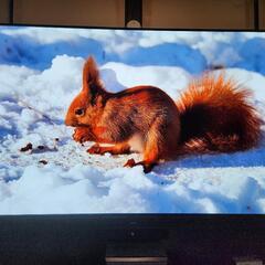 4K有機EL 77型 パナソニック　TH-77LZ2000 フラッグシップの画像