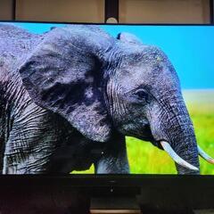 4K有機EL 77型 パナソニック　TH-77LZ2000 フラッグシップの画像