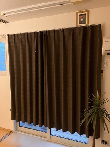 ニトリカーテンブラウン (ヤシガニ) 一乗寺のカーテン、ブラインドの
