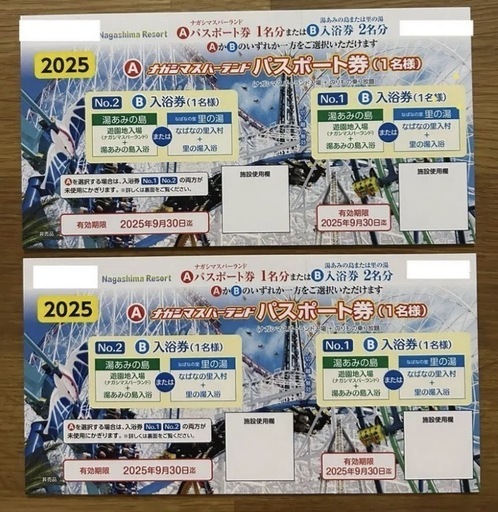 【お引き渡し者決定】ナガシマスパーランド パスポート　中学生以上　2枚セット
