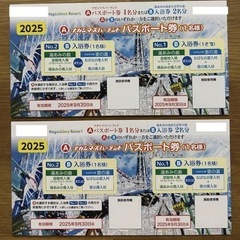 【お引き渡し者決定】ナガシマスパーランド パスポート　中学生以上...