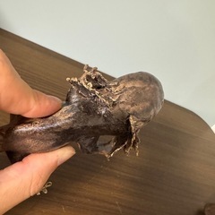 陶器のウーパールーパーの画像