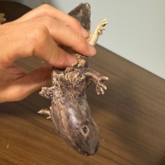 陶器のウーパールーパーの画像
