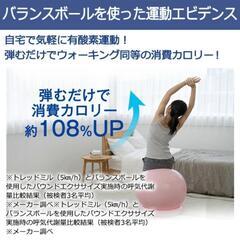 バランスボール　台座、空気入れ、栓セットの画像