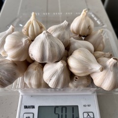 訳あり❗️ニンニク500gの画像