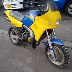札幌発 YAMAHA TDR50 実働 原付
