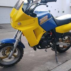 札幌発 YAMAHA TDR50 実働 原付の画像