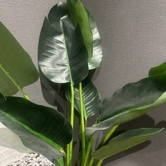 観葉植物（フェイク）の画像