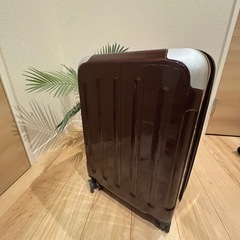 キャリーケースの画像