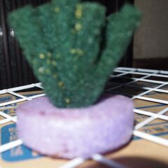 メダカ　月華　卵　５０個位　産卵床付きの画像
