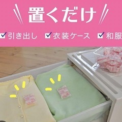 新品☆防虫剤☆４８個☆ミックスフローラルソープの香り☆大容量☆長持ち☆１年間持続の画像