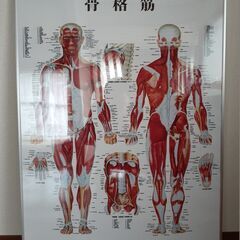 医道の日本社 ポスター　整体 整骨 鍼灸　オマケ付きの画像