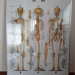 医道の日本社 ポスター　整体 整骨 鍼灸　オマケ付きの画像