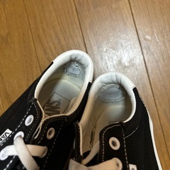 vansの画像