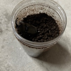 カブトムシの画像