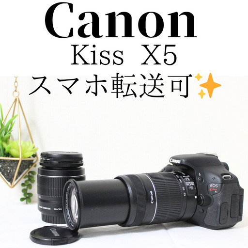 豪華フルセット⭐EOS Kiss X5⭐手振れ補正レンズ⭐マニュアル本付き 超