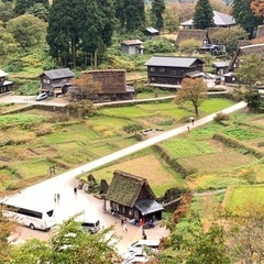 日帰り旅行などお出かけ出来る女友達探してます！