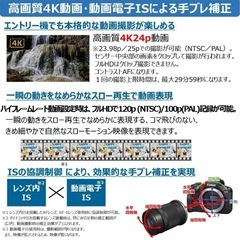 早い者勝ち 破格 新品未使用 Canon ミラーレス一眼カメラ EOS R100の画像