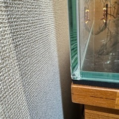 ADA キューブガーデン　60×30×36の画像