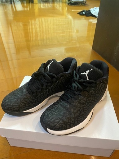 ジョーダン23.5レディース