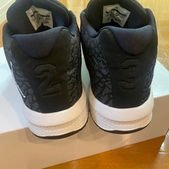 ジョーダン23.5レディースの画像