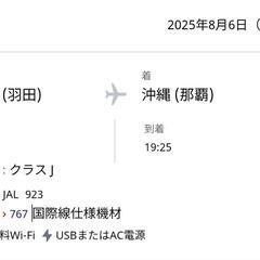 沖縄〜羽田　JAL便　8月4日〜6日　男女2名分　往復チケットの画像