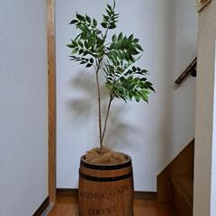 【受け渡し完了】フェイクグリーン 観葉植物