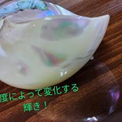夜光貝(小)　置物　オブジェ☆の画像