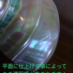 夜光貝(小)　置物　オブジェ☆の画像