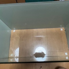 60cm規格フレームレスガラス水槽の画像