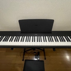 YAMAHA P-145     の画像