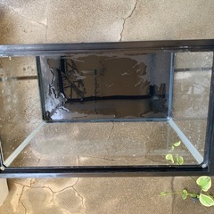小型水槽 蓋付きの画像