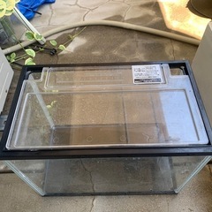 小型水槽 蓋付きの画像