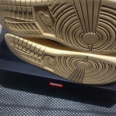 NIKE　シャッタードバックボード　本日出品取り下げの画像