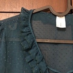 シフォンブラウスの画像